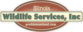 illinois wildlife services inc logo