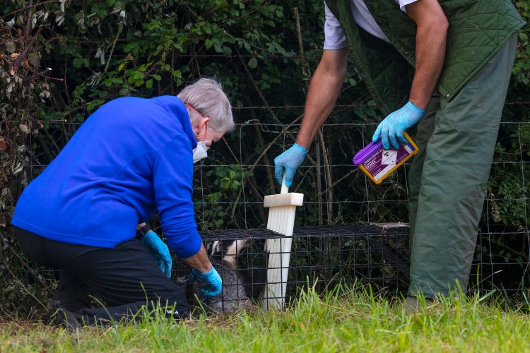 DIY wildlife handling