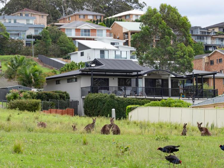 Wildlife residentials